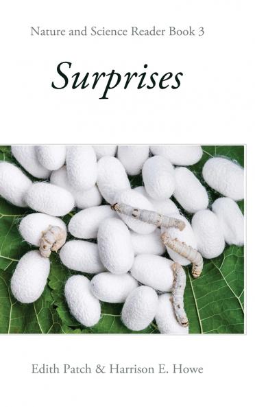 Surprises