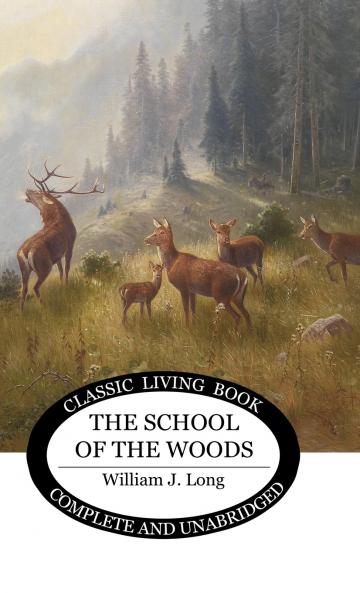 The School of the Woods