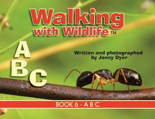 Walking with Wildlife - Book 6