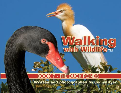 Walking with Wildlife - Book 7