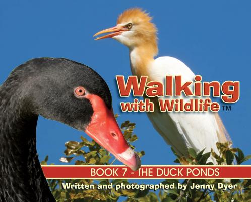 Walking with Wildlife - Book 7