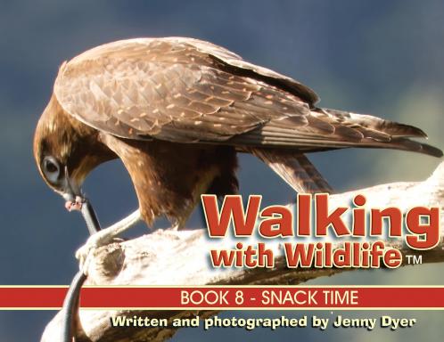 Walking with Wildlife - Book 8