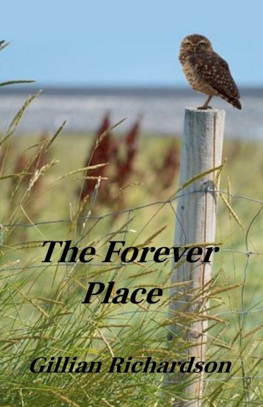 The Forever Place