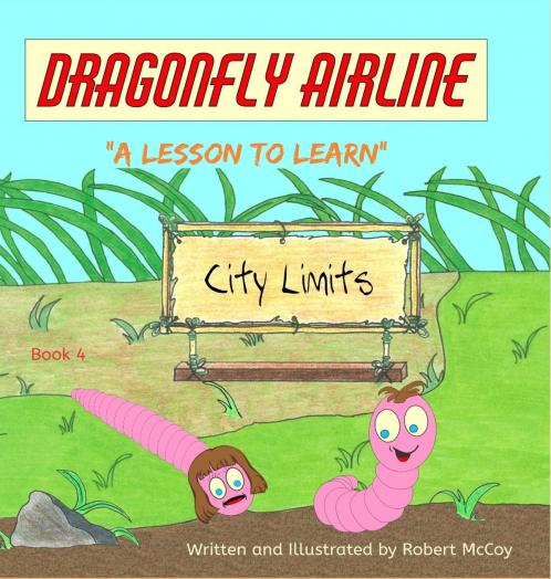 Dragonfly Airline - A Lesson to Learn