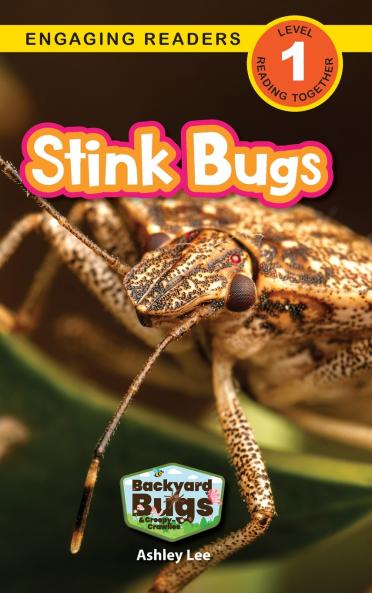 Stink Bugs