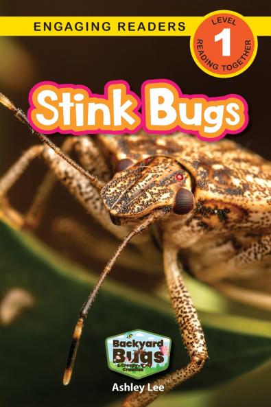 Stink Bugs
