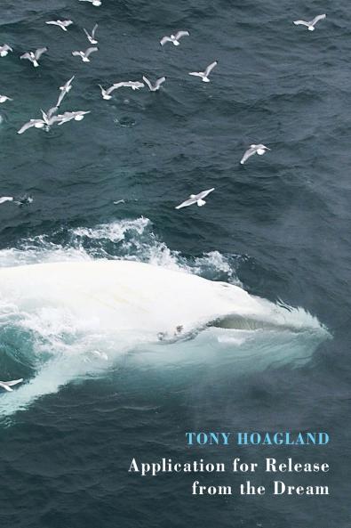 Application for Release from the Dream