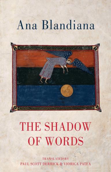 Shadow of Words