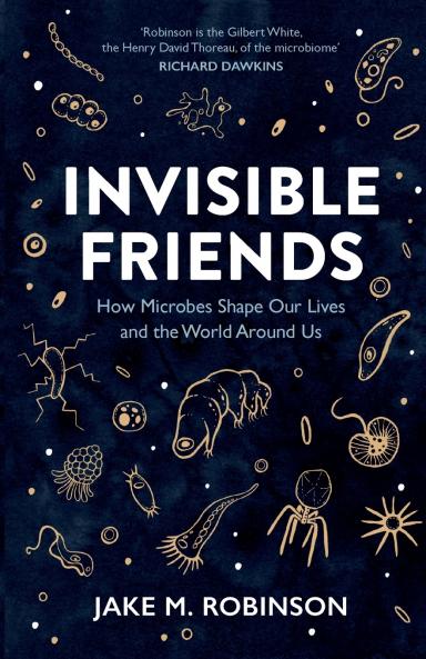 Invisible Friends