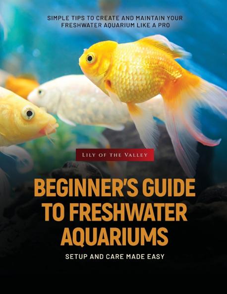 BEGINNER'S GUIDE TO FRESHWATER AQUARIUMS