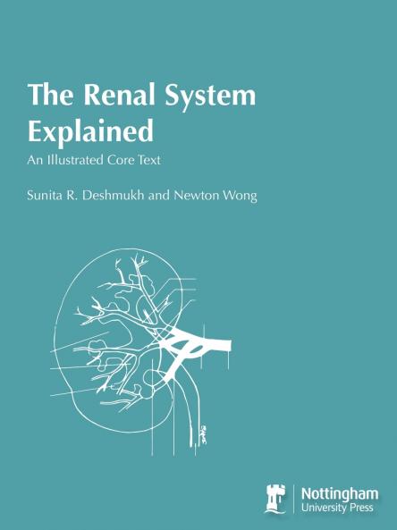 The Renal System Explained