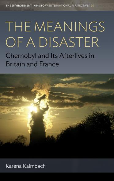 The Meanings of Disaster