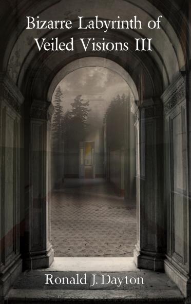 Bizarre Labyrinth of Veiled Visions III