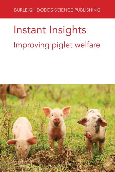 Instant Insights
