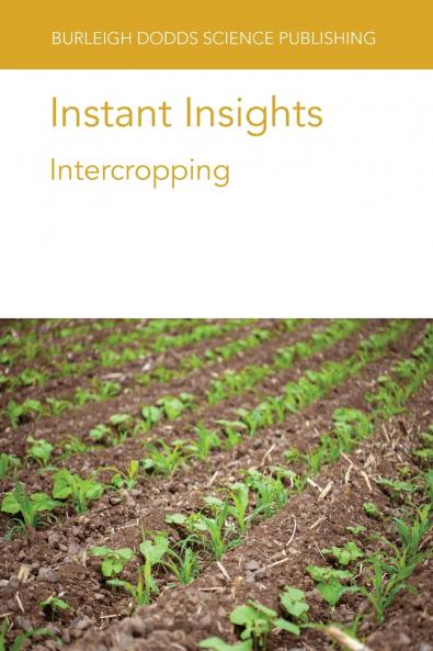 Instant Insights