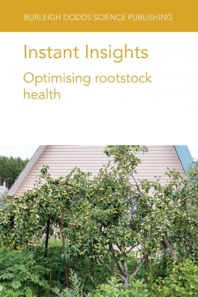Instant Insights
