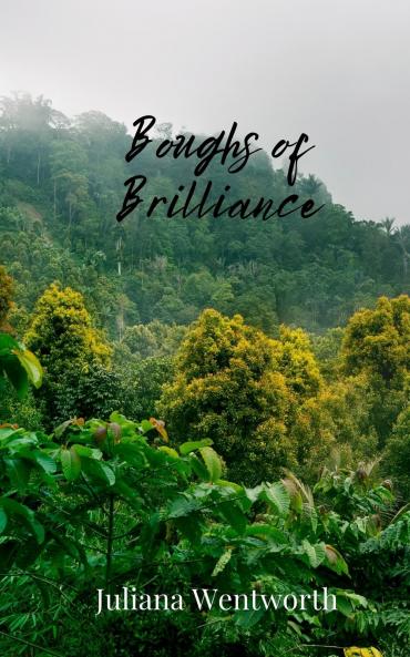 Boughs of Brilliance