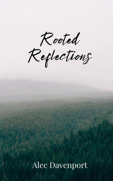 Rooted Reflections