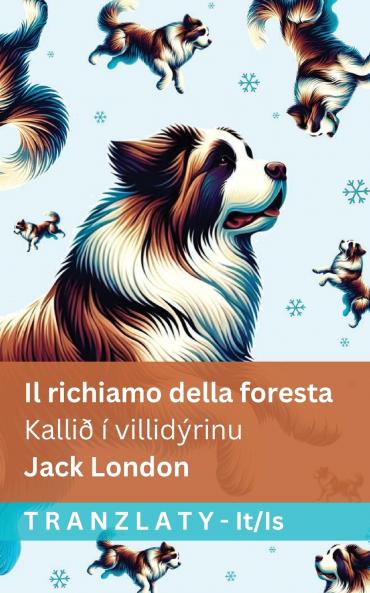 Il richiamo della foresta / Kallið í villidýrinu