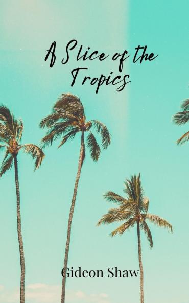 A Slice of the Tropics