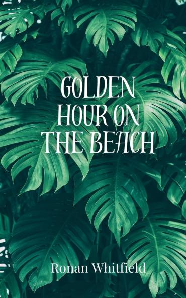 Golden Hour on the Beach
