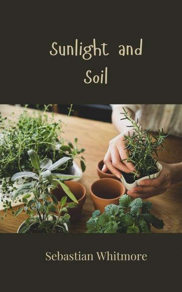 Sunlight and Soil