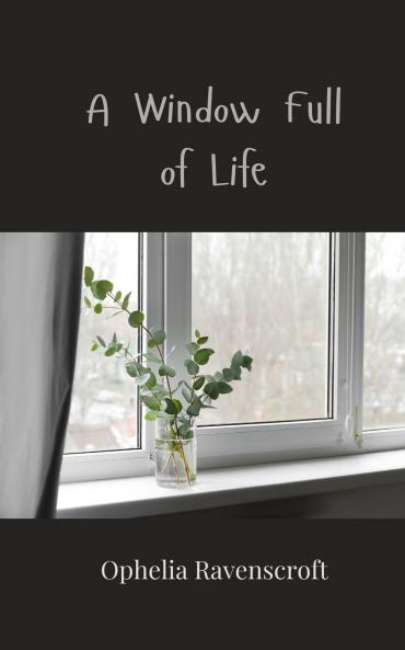 A Window Full of Life