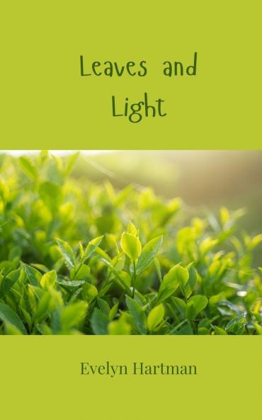 Leaves and Light