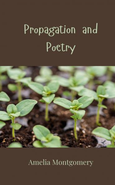 Propagation and Poetry
