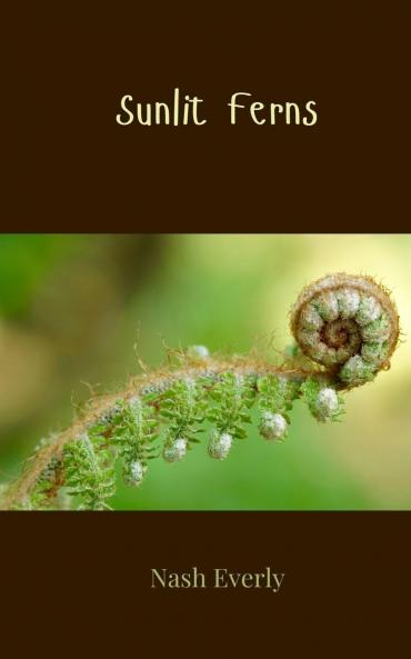 Sunlit Ferns