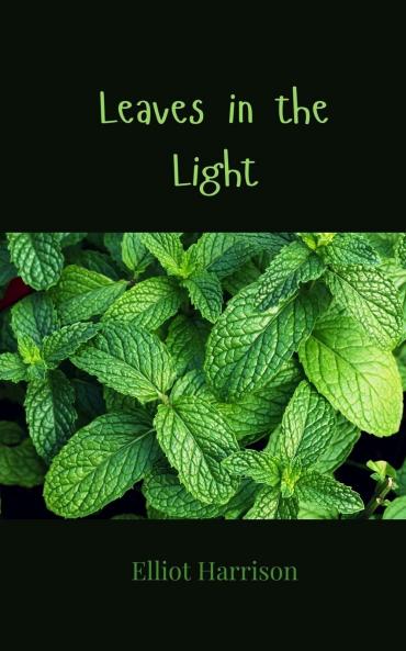 Leaves in the Light