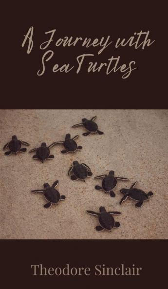 A Journey with Sea Turtles