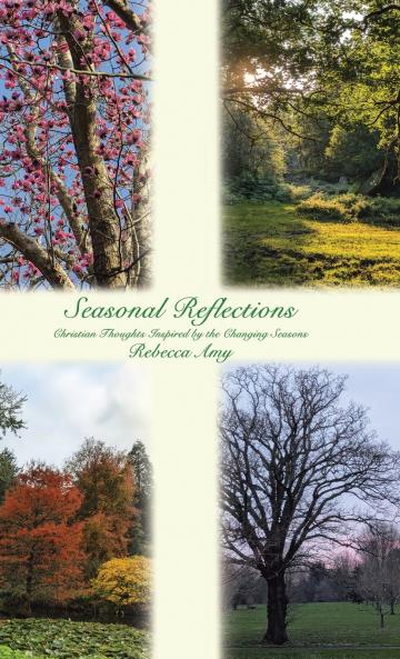 Seasonal Reflections