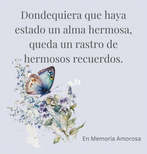 Celebración de la vida libro funerario libro de condolencias para firmar (tapa dura).