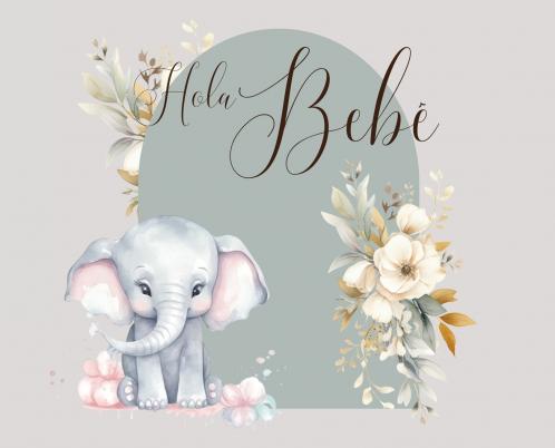 Hola bebé (baby shower)