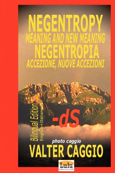 Negentropy Meaning and New Meaning Negentropia Accezione Nuove Accezioni