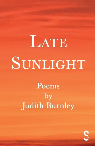 Late Sunlight