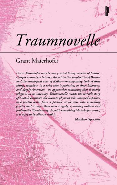 Traumnovelle