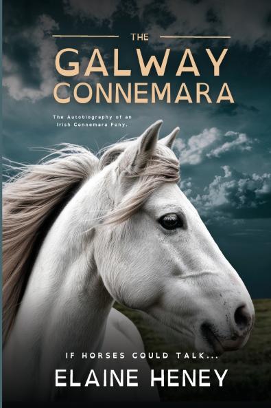 The Galway Connemara | The Autobiography of an Irish Connemara Pony - Dyslexia Friendly