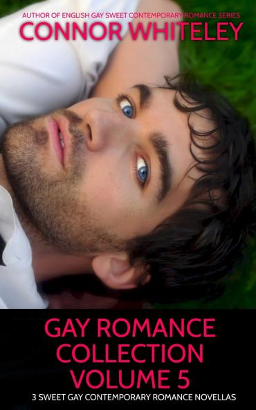 Gay Romance Collection Volume 5