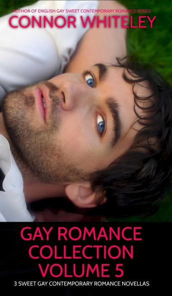 Gay Romance Collection Volume 5