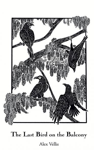 The Last Bird on the Balcony