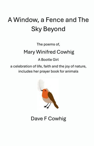 A Window a Fence and The Sky Beyond