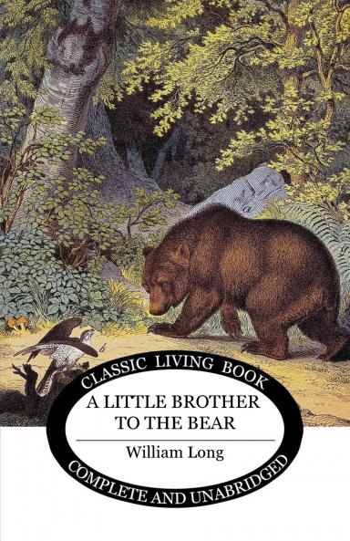 Little Brother to the Bear