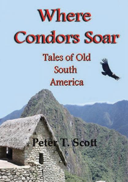 Where Condors Soar