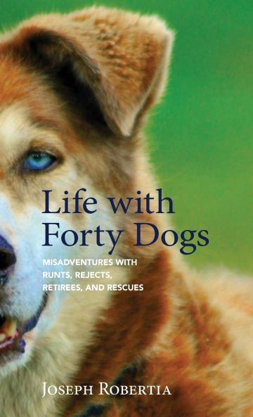 Life with Forty Dogs
