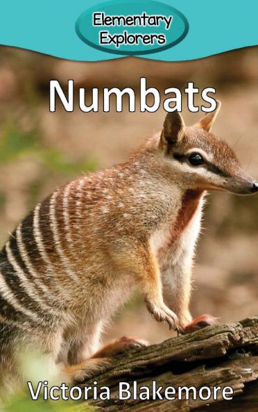 Numbats