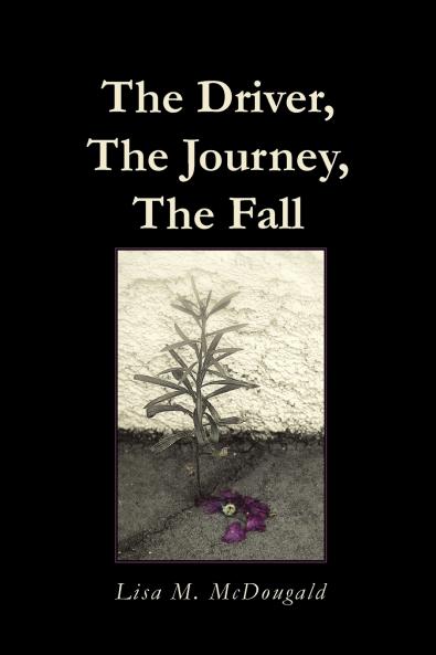 The Driver The Journey The Fall