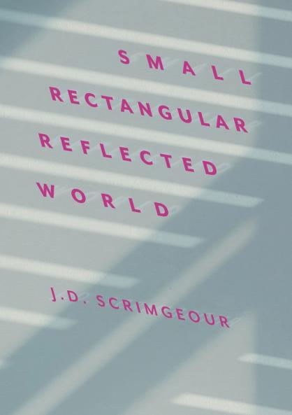 Small Rectangular  Reflected World