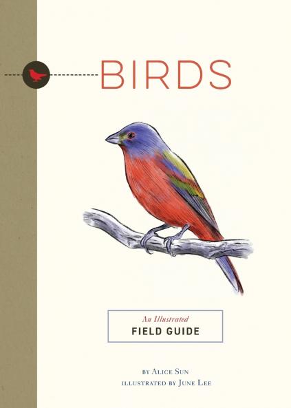 Birds | Softcover